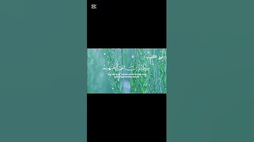 #سورة الفاتحه كامله بصوت الشيخ ياسر الدوسري #تلاوة_هادئة #قرآن_كريم