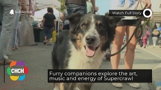 Furry companions explore the art, music and energy of Supercrawl