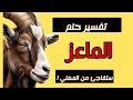 تفسير حلم الماعز في المنام هل هو رزق واسع أم شخص يحسدك ابن سيرين
