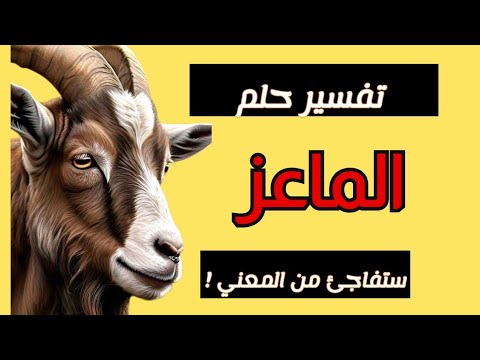 تفسير حلم الماعز في المنام هل هو رزق واسع أم شخص يحسدك ابن سيرين