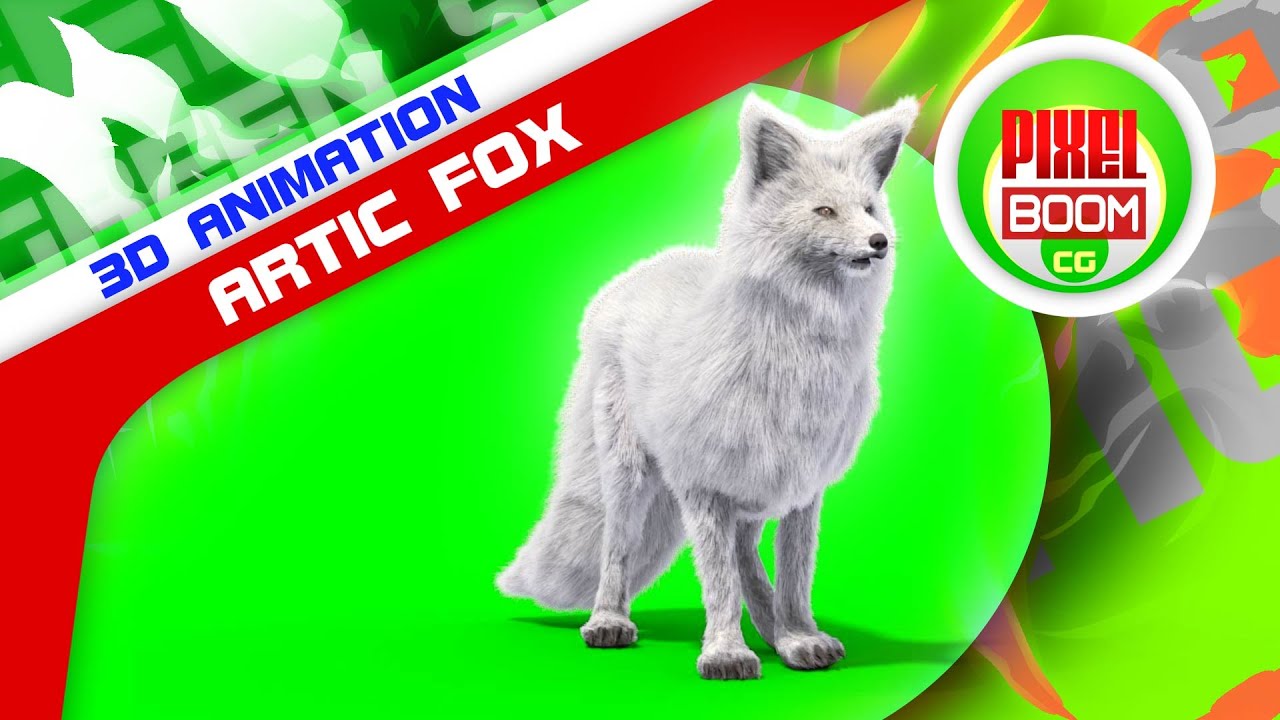 Green Screen Arctic Fox Animals 3D Animations PixelBoomCG