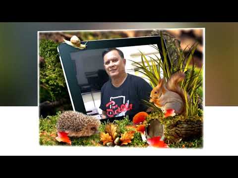 ເພັງ ກຸຫຼາບປາກເຊ กุหลาบ ปากเซ