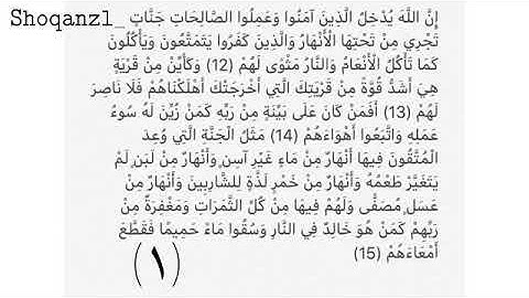 سورة محمد من 12الى15|مقرر الحفظ للصف الثاني عشر |سلطنة عُمان