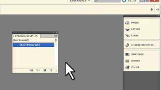 INDD Docking Panels VideoBlog