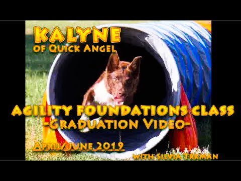 KALYNE_AGILITY FOUNDATIONS CLASS WITH SILVIA TRKMAN_GRADUATION VIDEO