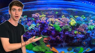 Private Tour of 30,000 GALLON Reef Aquarium SPS Dominant Coral Farm!!  (Top Shelf Aquatics)