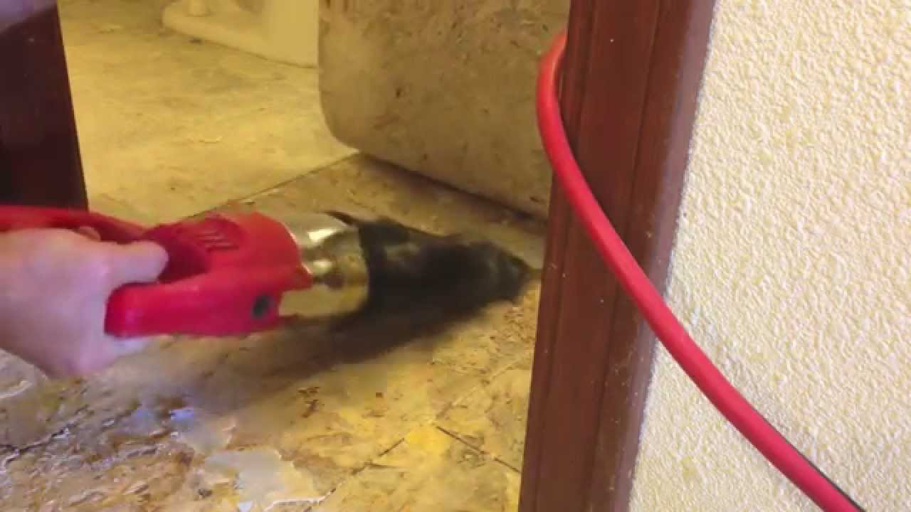 Vinyl Flooring Removal The Easy Way Youtube