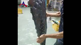 Door & Window Handles