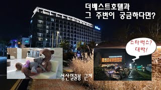 [제주호텔]가성비갑 호텔고르기/성산일출봉옆 더베스트호텔/뚜벅이 차없이 제주여행