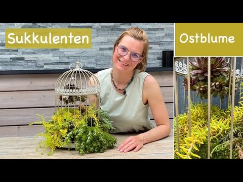 Video: Mini-Zen-Garten – Gest altung eines friedlichen Zen-Gartens mit Sukkulenten
