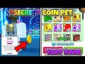 Insane offers for very rare secret coin in pet simulator 99