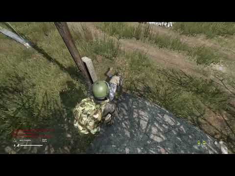 Dayz gamechat In 20 seconds