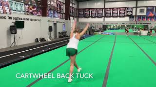 Level 4 Tumbling Info  Video