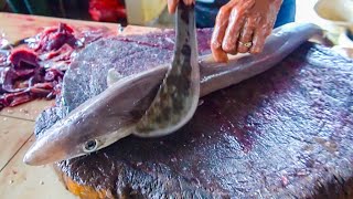 SHARK CUTTING VIDEO || HOW FISH CLEANING &amp; CUTTING SHARK || ALIVE SHARK CUTTING
