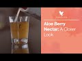 Learn more about forever aloe berry nectar  forever living uk  ireland