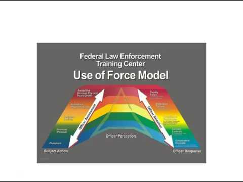 Police Force Continuum Chart