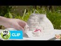 Building an Igloo: Key Concepts
