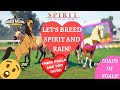 Breeding Spirit and Rain! Their foals are SUPER cool!! Rival Stars Horse Racing