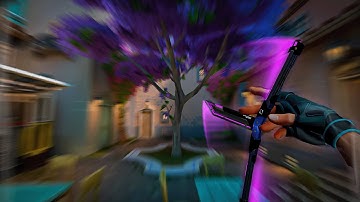 calm aim mfs in valorant be like