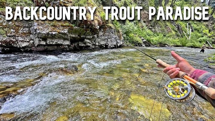 3 Days Chasing Cutthroat and Bull Trout in the Idaho Backcountry