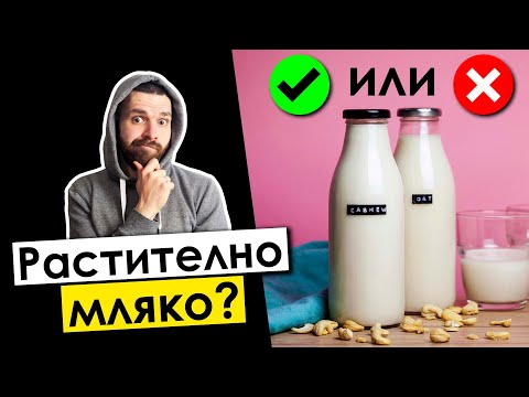 Растително И Ядково Мляко - Струва Ли Си И По-Здравословно Ли Е