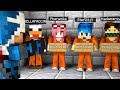 QUALCUNO MI HA RUBATO IL CAPPELLO DA TIGRE - BIG VANILLA MINECRAFT ITA