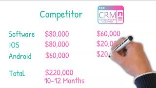 Custom CRM Software Cost