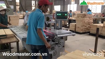 [ Woodmaster ] máy cưa rong ripsaw lưỡi dưới WM-14F