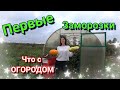 Первые ЗАМОРОЗКИ. Зима Близко