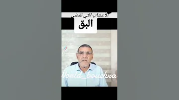 كيفية القضاء على البق 