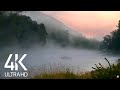 8hrs gentle river and cicadas sounds and birds songs  4k morning fog on the river russia