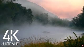8HRS Gentle River and Cicadas Sounds, and Birds Songs - 4K Morning Fog on the River, Russia