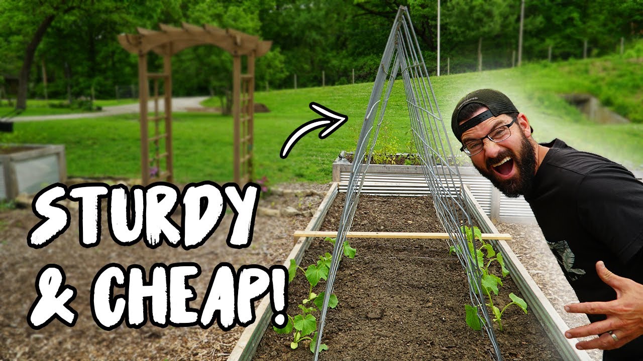 DIY TRELLIS for CUCUMBERS in a RAISED GARDEN BED! - YouTube