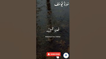 اكتب شيء تؤجر عليه 🤍 🤲🏻#سورة_يوسف #اسلام #قرآن #راحة_نفسية #quran
