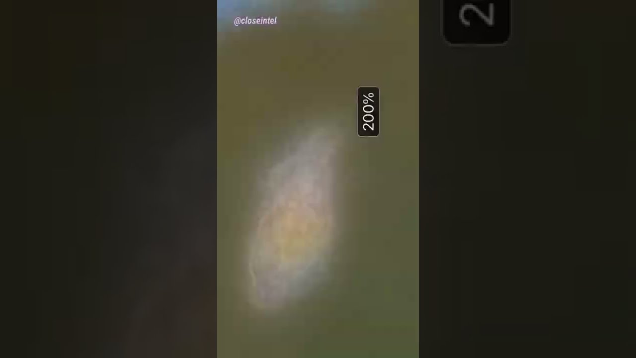 Tequila vs Germs Under Microscope YouTube