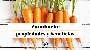 ¿Qué vitaminas tiene la zanahoria y cuáles son sus beneficios?