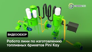Линия по изготовлению топливных брикетов Pini kay (ПЛБ500): обзор и готовый продукт