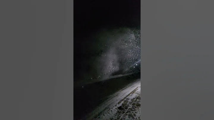 Boiling Water vs Frigid Air experiment #shorts