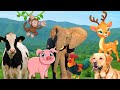 Learn about the characteristics of animals  elephant cow dog chicken pig  animal sounds