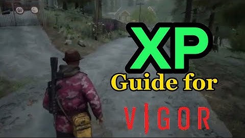 The Xp Guide For Vigor 2022