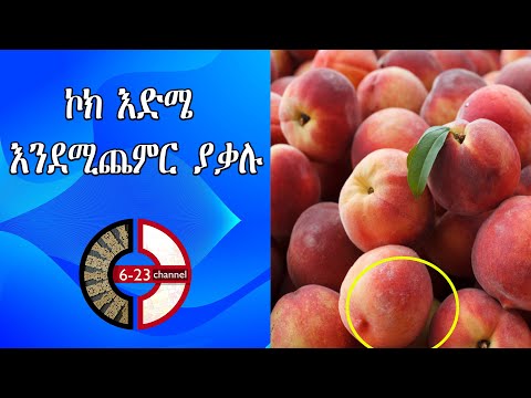 ቪዲዮ: ኮክ ፍሬስካ መስራት አቆመ?