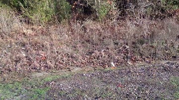Ice falling from cell tower Jan 2013
