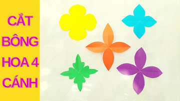 Cách Cắt Bông Hoa 4 Cánh Đơn Giản Mà Đẹp | Hướng Dẫn Từng Bước
