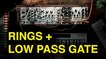 Mutable Instruments Rings meet Make Noise LxD!