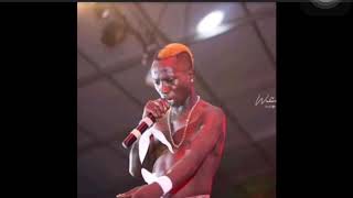 Patapaa~Putuu Remix ft. Botie(Stone Bwoy Cover)