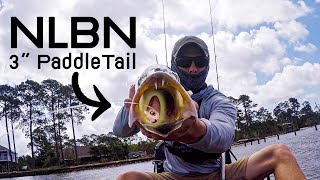 NLBN 3 inch Paddle Tail CRUSHED the Fish!!!