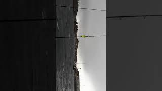 Hitra maart 2019 16