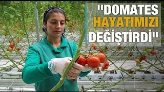 &#39;Domates hayatımızı değiştirdi&#39;