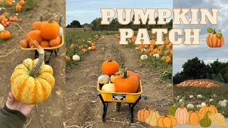 Pumpkin Patch VLOG | Outting with friends 🎃