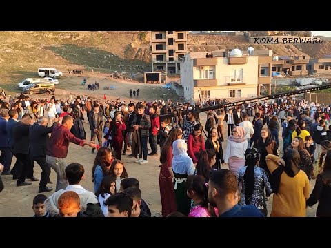 Şiyar Berwari - Cizre Düğünü BABLEKAN[ 2019 © HD ]